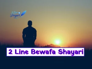 2 Line Bewafa Shayari in Hindi