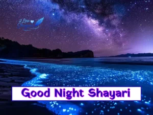 Good Night Shayari in Hindi and english